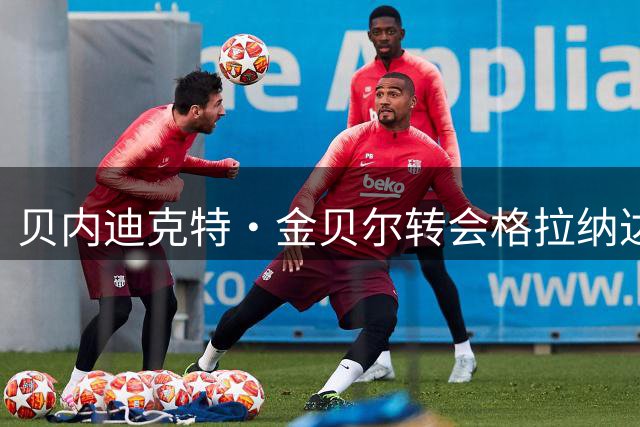 贝内迪克特·金贝尔转会格拉纳达 签约两年